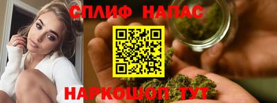 дживик Можга