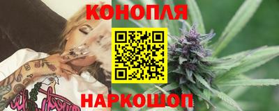 дживик Можга
