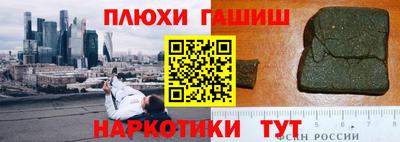 дживик Можга