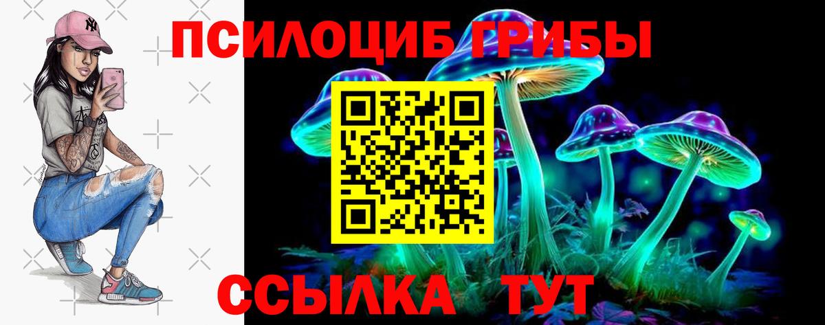 Галлюциногенные грибы MAGIC MUSHROOMS Трёхгорный